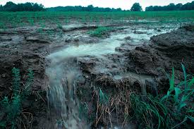 Agricultural field erosion and nutrient runoff